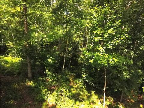 96 Morris Rd, Buchanan, GA 30113 photo 69