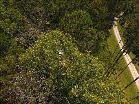 96 Morris Rd, Buchanan, GA 30113 photo 106