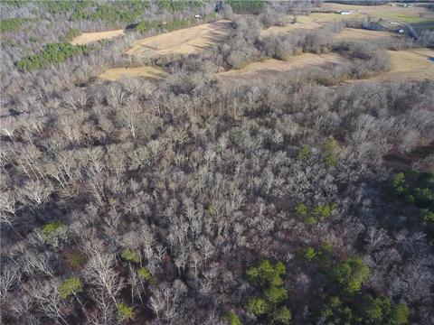 96 Morris Rd, Buchanan, GA 30113 photo 131