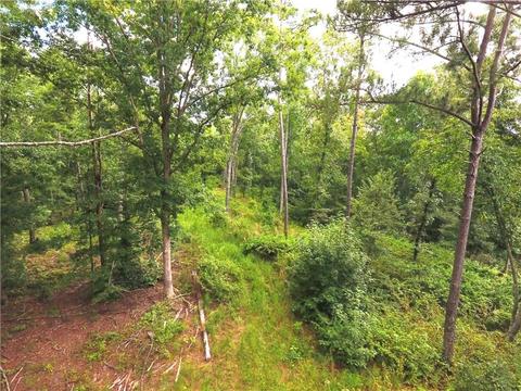 96 Morris Rd, Buchanan, GA 30113 photo 80