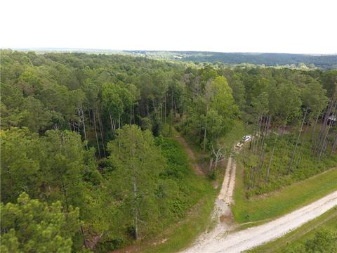 96 Morris Rd, Buchanan, GA 30113 photo 95