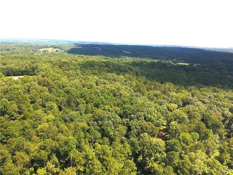96 Morris Rd, Buchanan, GA 30113 photo 104