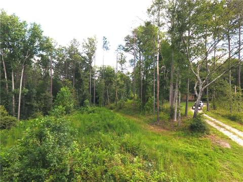 96 Morris Rd, Buchanan, GA 30113 photo 93