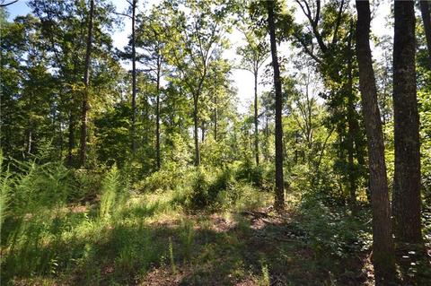 96 Morris Rd, Buchanan, GA 30113 photo 12
