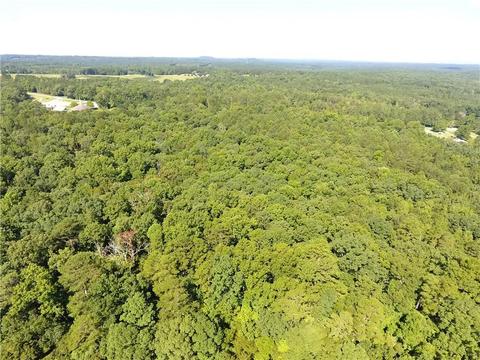 96 Morris Rd, Buchanan, GA 30113 photo 47