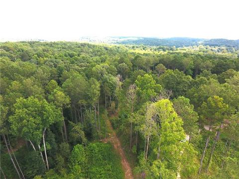 96 Morris Rd, Buchanan, GA 30113 photo 94