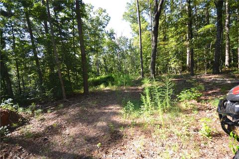 96 Morris Rd, Buchanan, GA 30113 photo 13