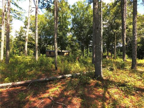 96 Morris Rd, Buchanan, GA 30113 photo 113