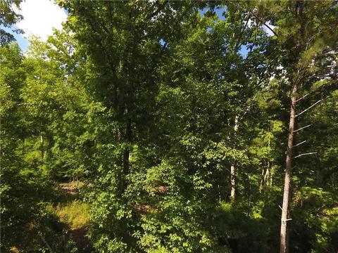 96 Morris Rd, Buchanan, GA 30113 photo 60
