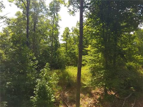 96 Morris Rd, Buchanan, GA 30113 photo 68