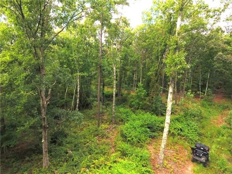 96 Morris Rd, Buchanan, GA 30113 photo 82