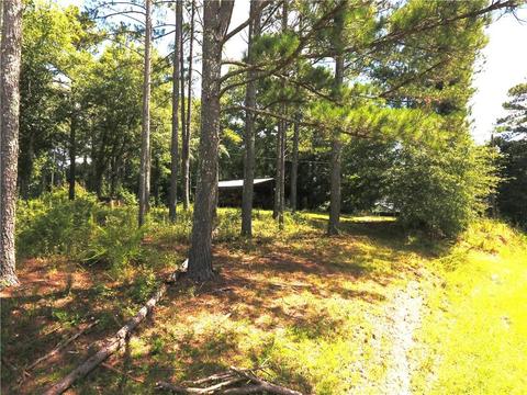 96 Morris Rd, Buchanan, GA 30113 photo 112