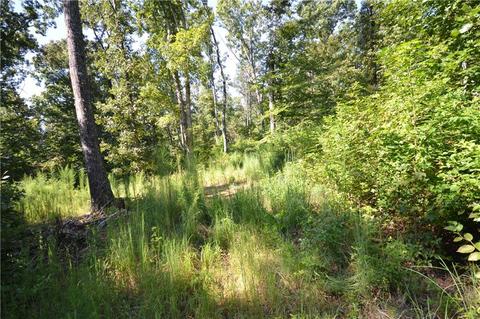 96 Morris Rd, Buchanan, GA 30113 photo 42