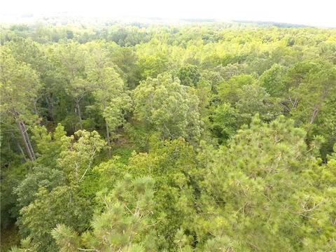 96 Morris Rd, Buchanan, GA 30113 photo 78