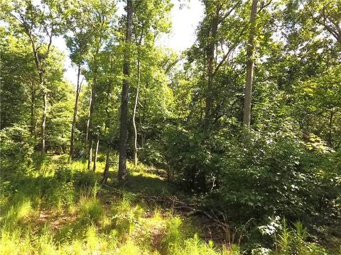 96 Morris Rd, Buchanan, GA 30113 photo 64