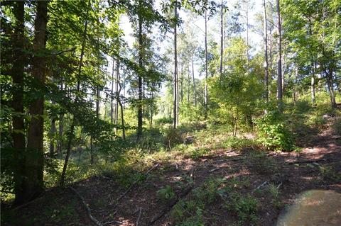96 Morris Rd, Buchanan, GA 30113 photo 10
