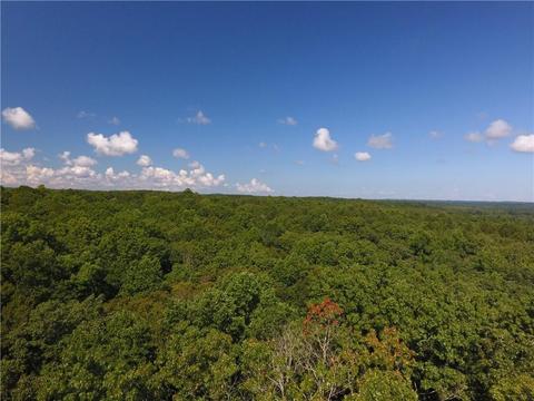 96 Morris Rd, Buchanan, GA 30113 photo 49