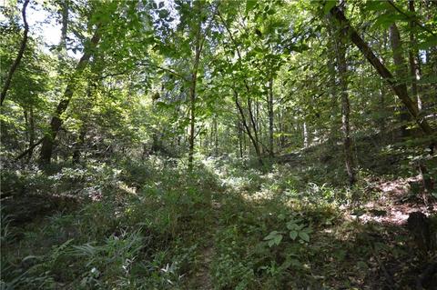 96 Morris Rd, Buchanan, GA 30113 photo 37
