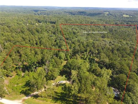 96 Morris Rd, Buchanan, GA 30113 photo 4