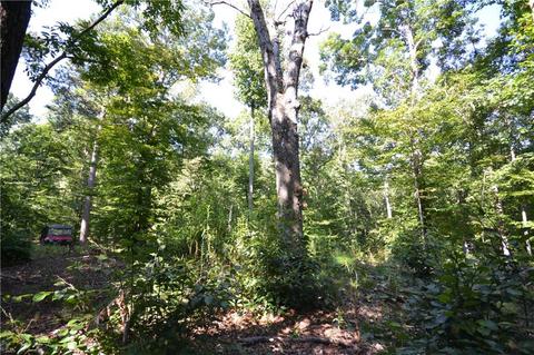 96 Morris Rd, Buchanan, GA 30113 photo 22