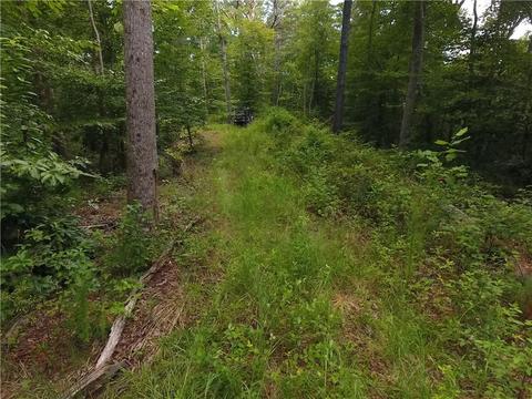 96 Morris Rd, Buchanan, GA 30113 photo 71