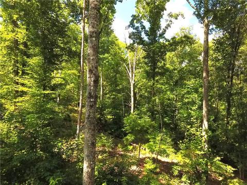 96 Morris Rd, Buchanan, GA 30113 photo 66