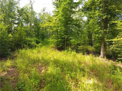 96 Morris Rd, Buchanan, GA 30113 photo 58