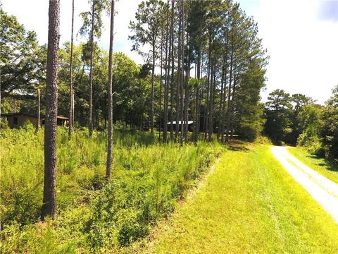 96 Morris Rd, Buchanan, GA 30113 photo 108