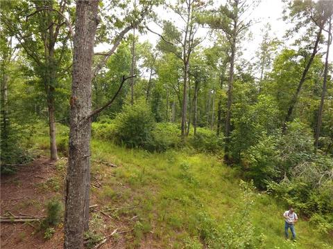 96 Morris Rd, Buchanan, GA 30113 photo 91