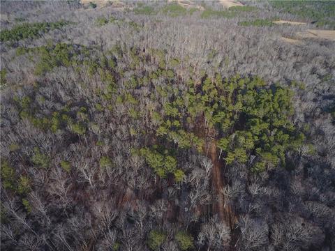 96 Morris Rd, Buchanan, GA 30113 photo 130