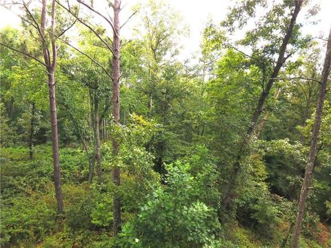 96 Morris Rd, Buchanan, GA 30113 photo 81