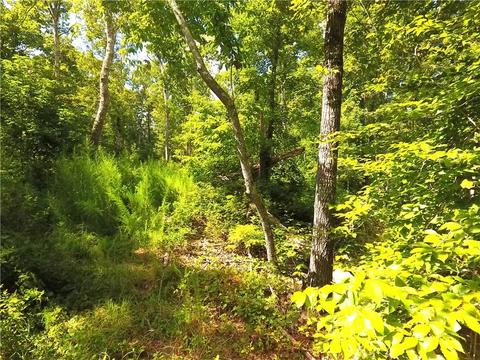96 Morris Rd, Buchanan, GA 30113 photo 63