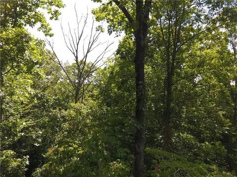 96 Morris Rd, Buchanan, GA 30113 photo 62