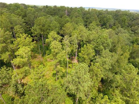 96 Morris Rd, Buchanan, GA 30113 photo 97