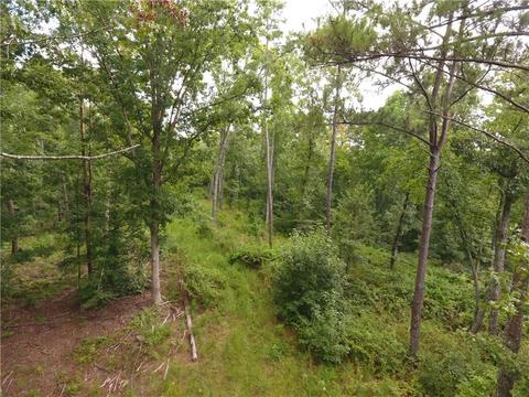 96 Morris Rd, Buchanan, GA 30113 photo 84