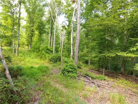 96 Morris Rd, Buchanan, GA 30113 photo 57
