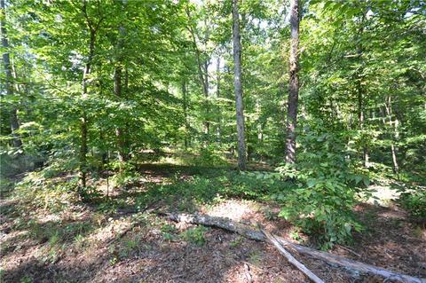 96 Morris Rd, Buchanan, GA 30113 photo 26