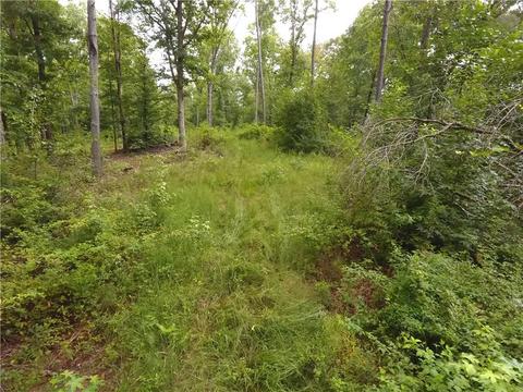 96 Morris Rd, Buchanan, GA 30113 photo 75