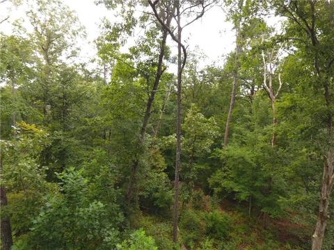 96 Morris Rd, Buchanan, GA 30113 photo 83