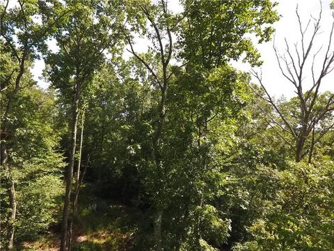 96 Morris Rd, Buchanan, GA 30113 photo 61