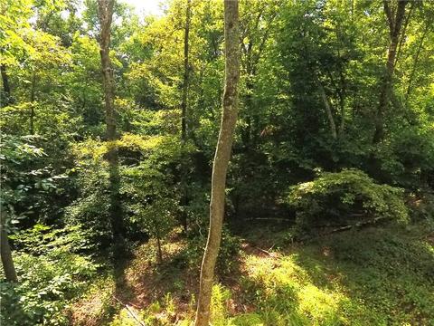 96 Morris Rd, Buchanan, GA 30113 photo 70