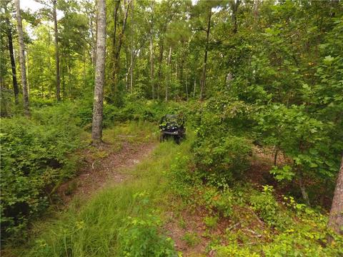 96 Morris Rd, Buchanan, GA 30113 photo 92
