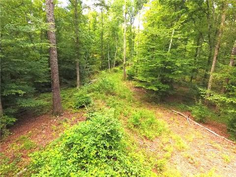 96 Morris Rd, Buchanan, GA 30113 photo 72
