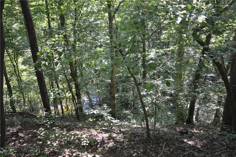 96 Morris Rd, Buchanan, GA 30113 photo 18