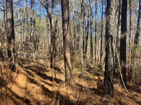 0 Wallace Tatum Rd, Cumming, GA 30028