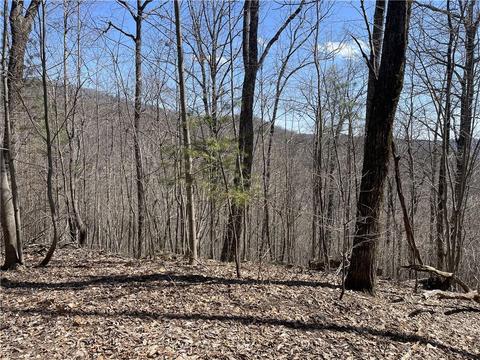 0 Meadow Loop Rd, Ellijay, GA 30536