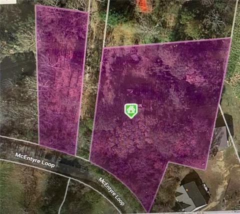 160 Mcentyre Loop SE, Calhoun, GA 30701 photo 5