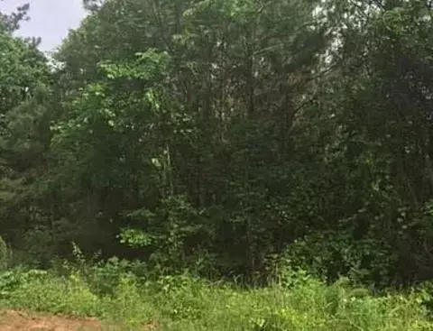 0 Davis Carter Rd, Monticello, GA 31064