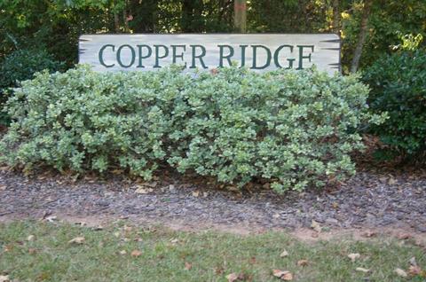 52 Lake Point Drive, Dahlonega, GA 30533