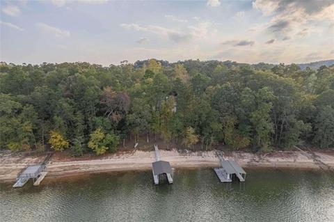 1243 Ridgemore Dr, Toccoa, GA 30577 photo 67